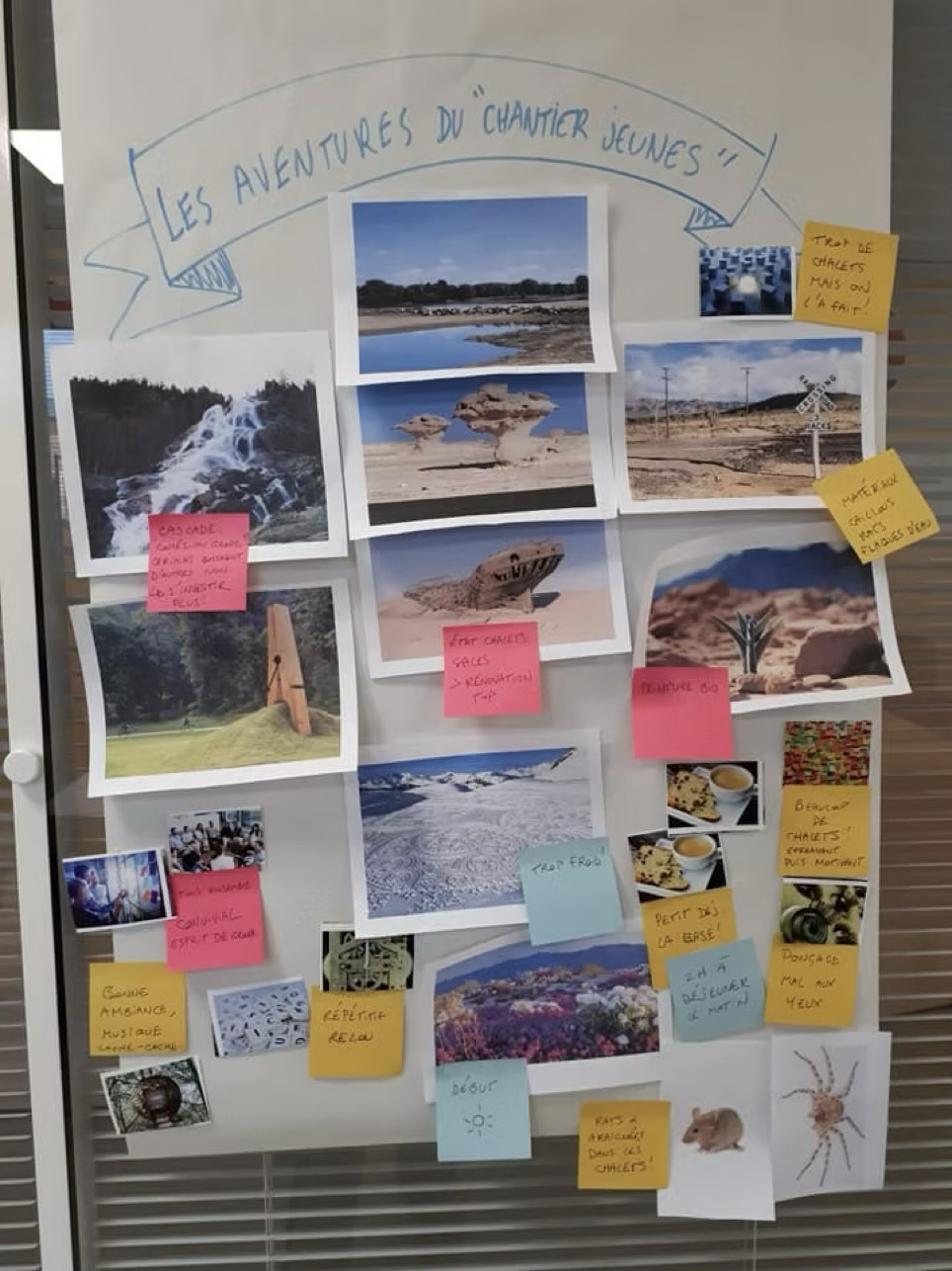 Atelier « bilan et perspectives » créatif et interactif avec six jeunes adultes vivifiants !